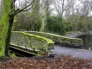 Image showing Forgotten Bridge