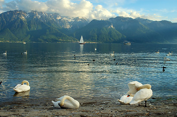 Image showing Lake Leman/Geneve