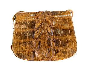 Image showing Crocodile bag