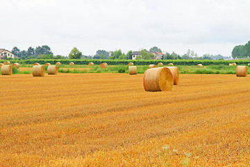 Image showing Haystack field