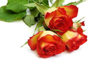 Image showing Roses