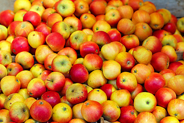 Image showing Apples