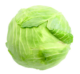Image showing Single green cabbage with dew