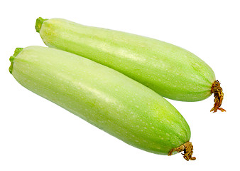 Image showing Two ripe green zucchini with dry flowers
