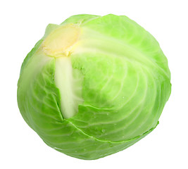 Image showing One green cabbage with dew