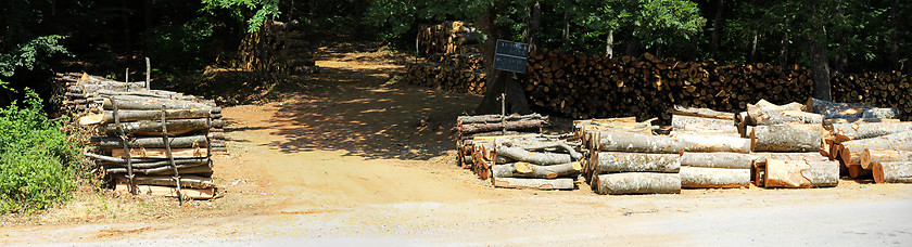 Image showing Lumber log