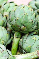 Image showing Artichoke