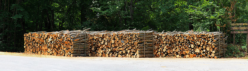 Image showing Fire wood