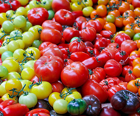 Image showing Tomato assortment