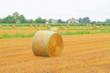 Image showing Rolling haystack