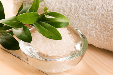 Image showing Sea Salt With Fresh Olive Branch. Spa And Wellness 