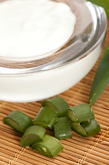 Image showing aloe vera - leaves and face cream