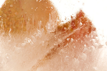 Image showing Frozen flowers. blossoms in the ice cube