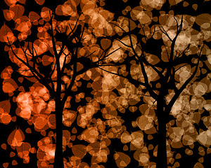 Image showing Tree Silhouettes with Autumn Leaves Background