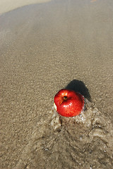 Image showing Apple on Beach