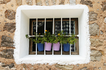 Image showing Colourful Mug