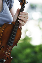 Image showing Violin