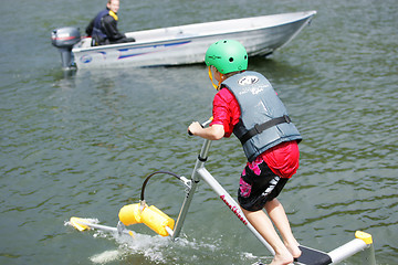 Image showing Water skipper