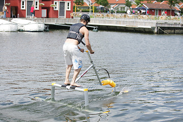 Image showing Water skipper