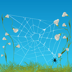 Image showing Web spider