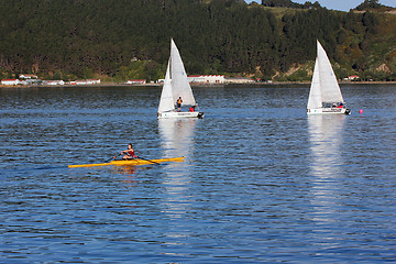 Image showing Wellington harbour