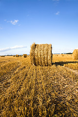 Image showing Straw stack