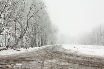 Image showing Winter road