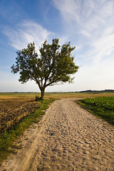 Image showing Old road