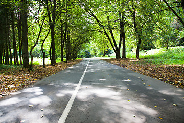 Image showing Road to park