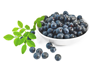 Image showing Blueberries in a bowl with a sheet