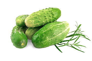 Image showing Cucumber with tarragon