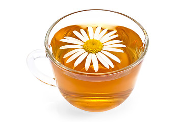 Image showing Herbal tea in a glass cup with camomile