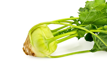 Image showing Kohlrabi