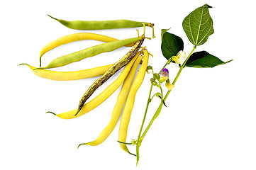 Image showing Multi-colored beans with a flower