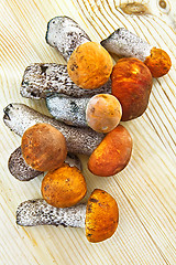 Image showing Mushrooms on a wooden board