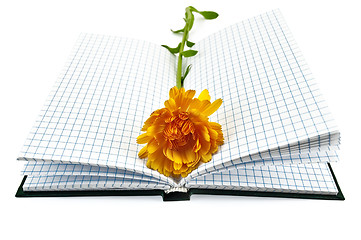 Image showing Notebook with yellow marigold