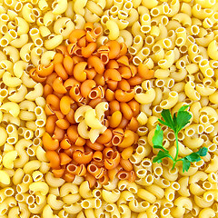 Image showing Pasta with an orange house