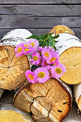 Image showing Pink flowers on wood