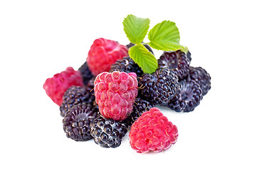 Image showing Raspberries and blackberries with a sheet