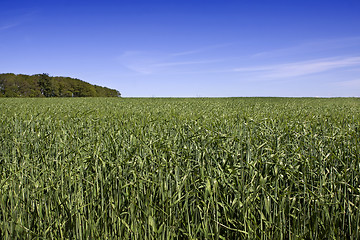 Image showing landscape