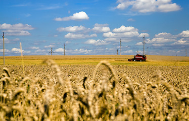 Image showing Agriculture