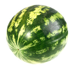 Image showing Full single striped green watermelon