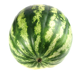 Image showing One full single striped green watermelon