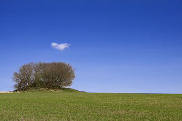 Image showing landscape