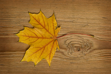 Image showing autumn leaf over old board