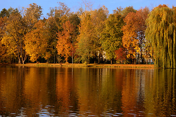 Image showing Autumn scene