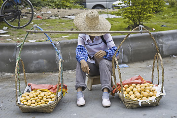 Image showing Sales Woman