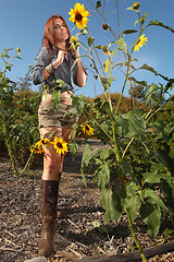 Image showing Red Haired Woman Outdoors in a Sunflower Field