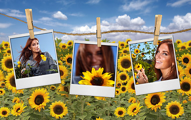 Image showing Film Shots Hanging in a Field of a Beautiful Red Head Woman