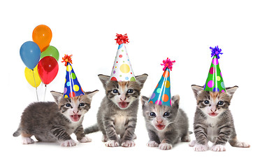 Image showing Birthday Song Singing Kittens on White Background